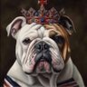 Фото профиля 🇫🇷 WildBullRex 🇺🇸