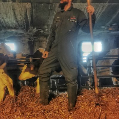 Luc19841's profile picture