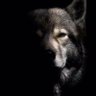 Aybars's profile picture