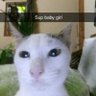 BossOfSauce profil fotoğrafı