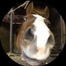 Casey profil fotoğrafı