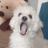 Mia ²⁰⁵-ᵀᴹᴹ profil fotoğrafı