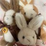 you-doll🐇🎀's profile picture