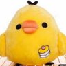 Chicken's profile picture