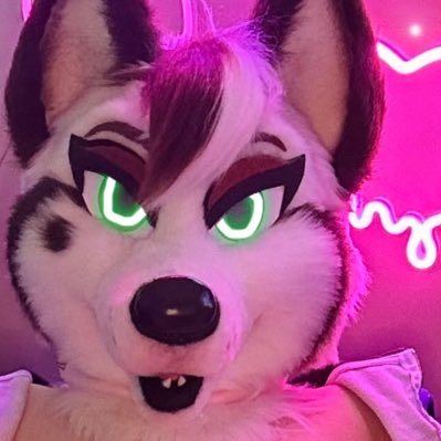 SundaeHuskie's profile picture