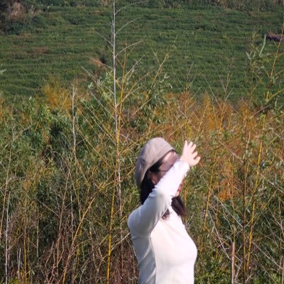 知意's profile picture