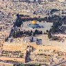 Фото профиля أم محمد