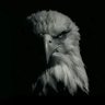 Iraq Dragon profil fotoğrafı