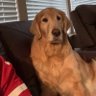 Ryan Thiele's profile picture