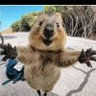 Angie NOYB55's profile picture