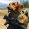Profilbild von Alberta Crusader