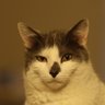 Bonnie Parcoeur's profile picture