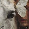 L.M. Beshr's profile picture