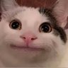anak ayam's profile picture