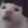 Profilbild von PinkyMichael