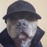 Profilbild von Enyi