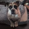 Profilbild von Vanilla