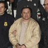 El Chapo's profile picture
