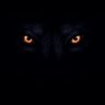 Bustawolf's profile picture