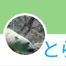 とらべる（SCOPIST） profil fotoğrafı