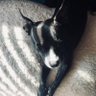 Sam's profile picture