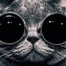 Antonius Stepper's profile picture