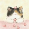 meow 的头像