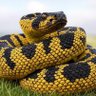 Crotalus🐍ANCAP's profile picture