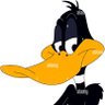 Blackduck's profile picture