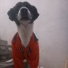 Mr Efra's profile picture
