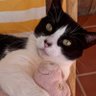 Maria profil fotoğrafı