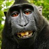 MonkeyMan10 的头像