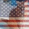 🇺🇸Chad_the_Fab🇺🇸's profile picture