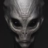 Useless Biomass's profile picture