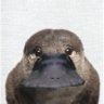 Profilbild von へんなの