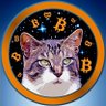 hodlcat โฟ's profile picture