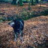 Profilbild von Toby Loby