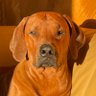 Profilbild von Open Secret