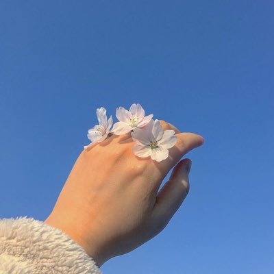 sya's profile picture