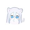 透煌猫 profil fotoğrafı