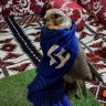 هلالي أعتقد تكفي's profile picture