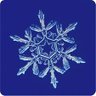 Profilbild von snowtwit