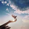 سماء بيضاء☁️✨ 的头像