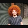 David Radko's profile picture