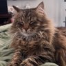 Profilbild von Winston