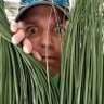 Greg Schmidt's profile picture
