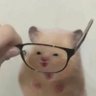 Tea_Pose (Locking in rn)'s profile picture