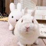 Фото профиля たか