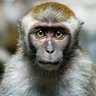 musugipuap profil fotoğrafı