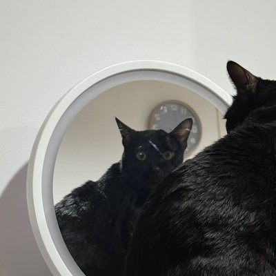 Hoopyzzz's profile picture